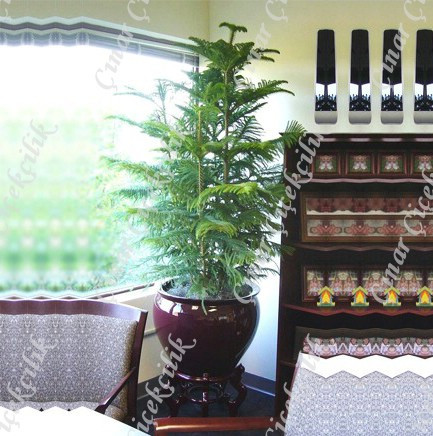 Araucaria Norfolk 3lü Salon Camı C-SAK191