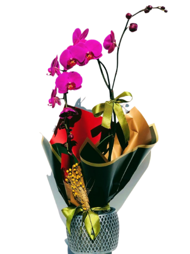 Harbin Desenli Vazoda Pembe Eğimli Orkide