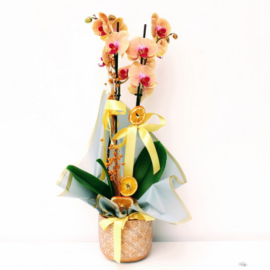 Vintage Dekoratif Vazo  İkili Turuncu Orkide 