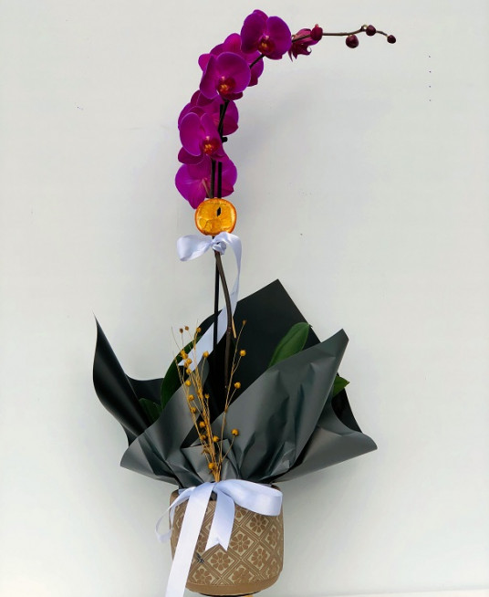 Pintura Dekoratif Vazoda Tekli Pembe Orkide
