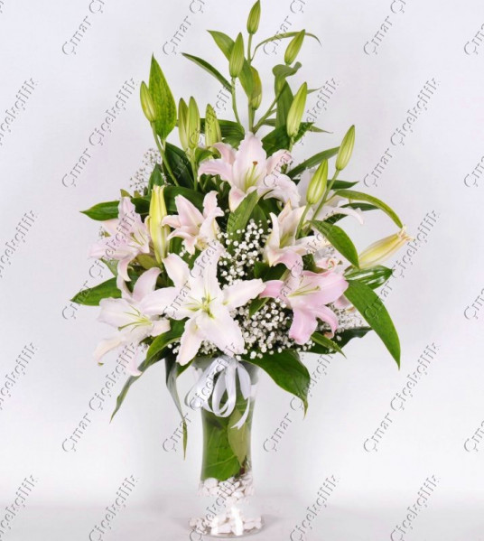 Sihirli Pembe Kokulu Lilyum C-AR143