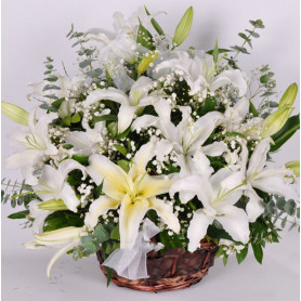 Sade Beyaz Çiçek Sepeti Lilyum C-AR129