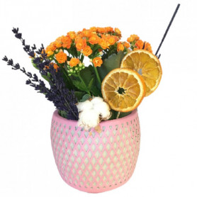 Vazoda Turuncu Kalancuha Çiçeği