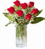 Vazoda 7 Adet Kırmısı Gül