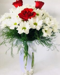 Şahane Birliktelik, Papatya & 3 Gül