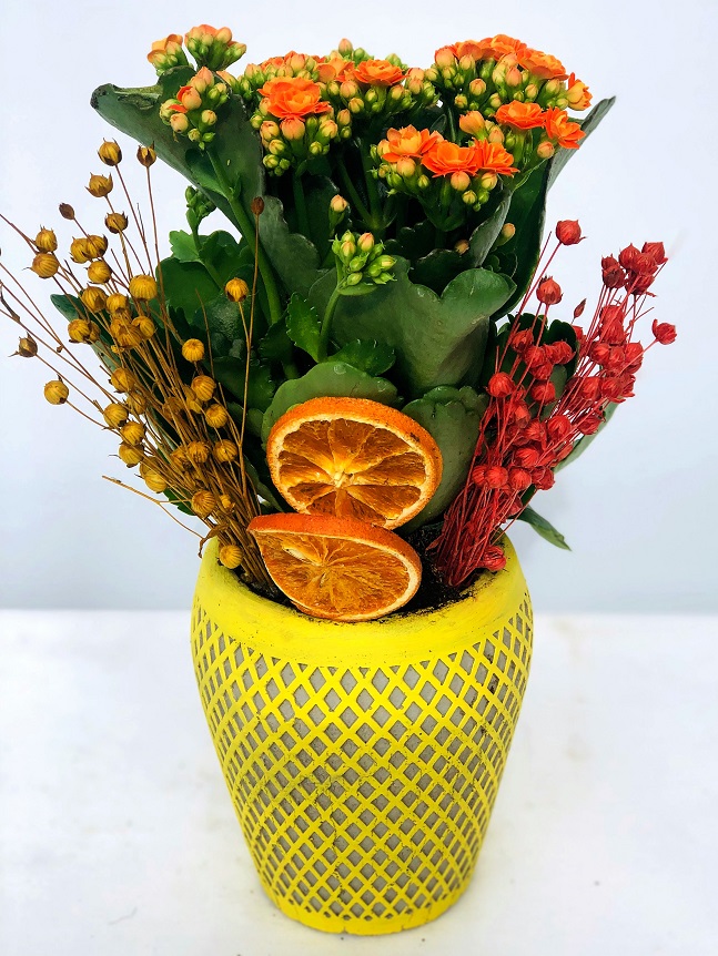 Mariano Desenli Vazoda Turuncu Kalancuha Çiçeği