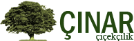 Çınar Çiçekçilik