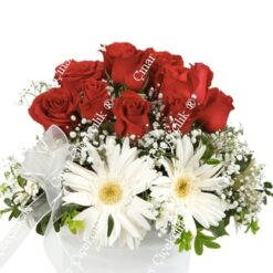 Kırmızı Gül Beyaz Gerbera C-CAM108