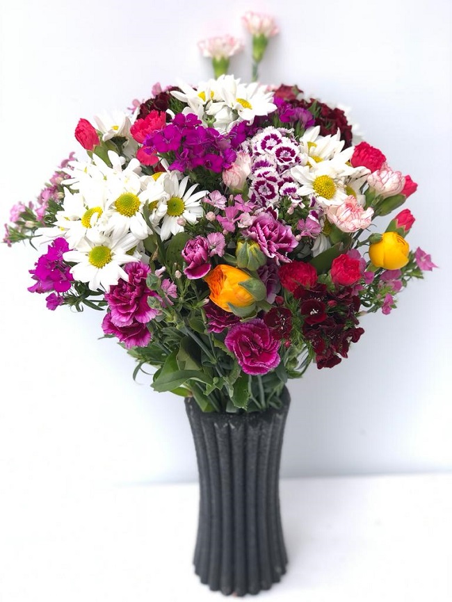 Şakayık ve Mevsim Çiçeklerinin Güzellikleri.