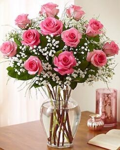 Işıldayan Peri, 11 Pembe Gül