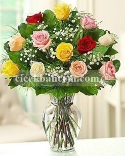 Gül Zarafet - 13 Adet Renkli Güller