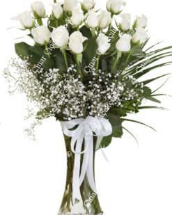 20 Beyaz Gül  C-CAM109