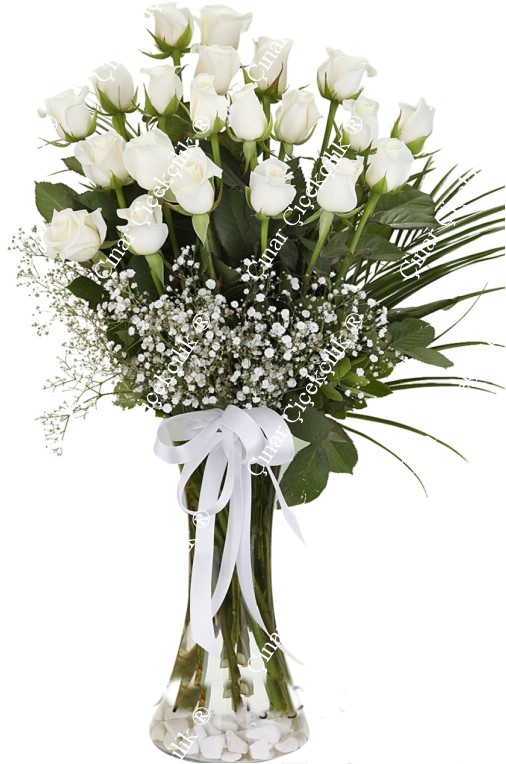 21 Beyaz Gül C-CAM110