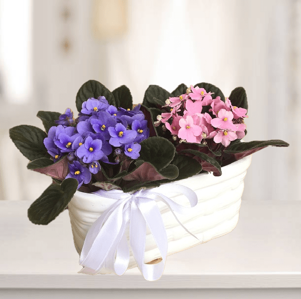 Anneler Günü Menekşe Sepeti - Görsel 2