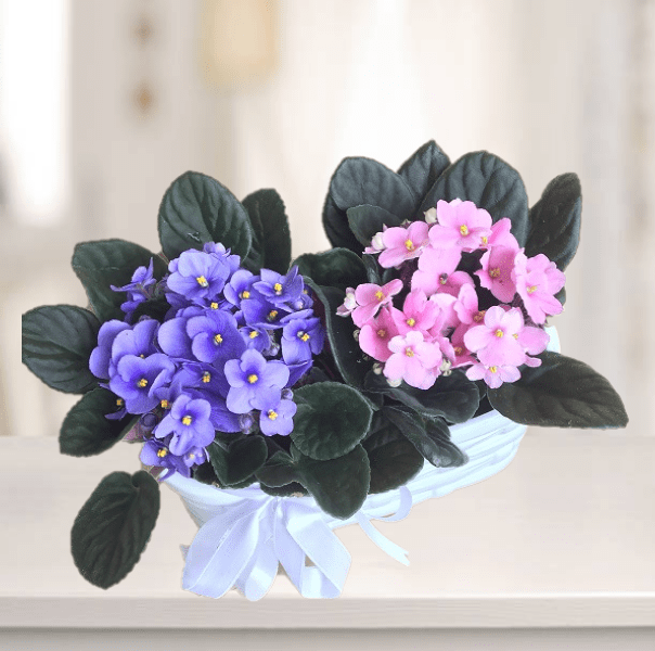 Anneler Günü Menekşe Sepeti - Görsel 3