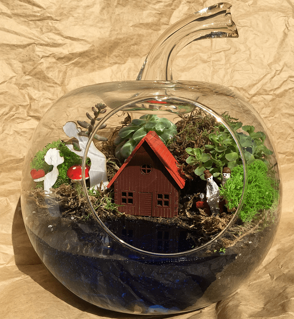 Anne İçin Özel Teraryum - Görsel 3