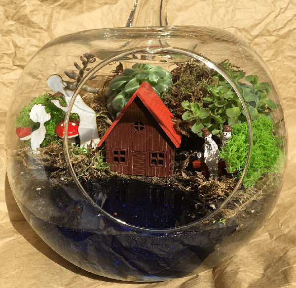 Anne İçin Özel Teraryum