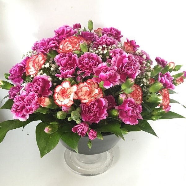 Benim Canım Annem - Görsel 4