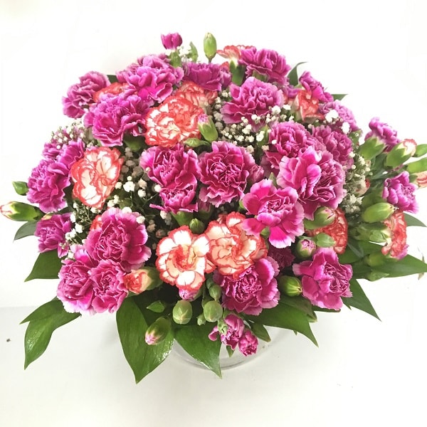 Benim Canım Annem - Görsel 2