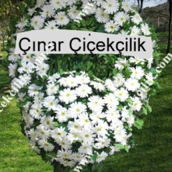 Beyaz Gerbera Cenaze Merasim Çelenği
