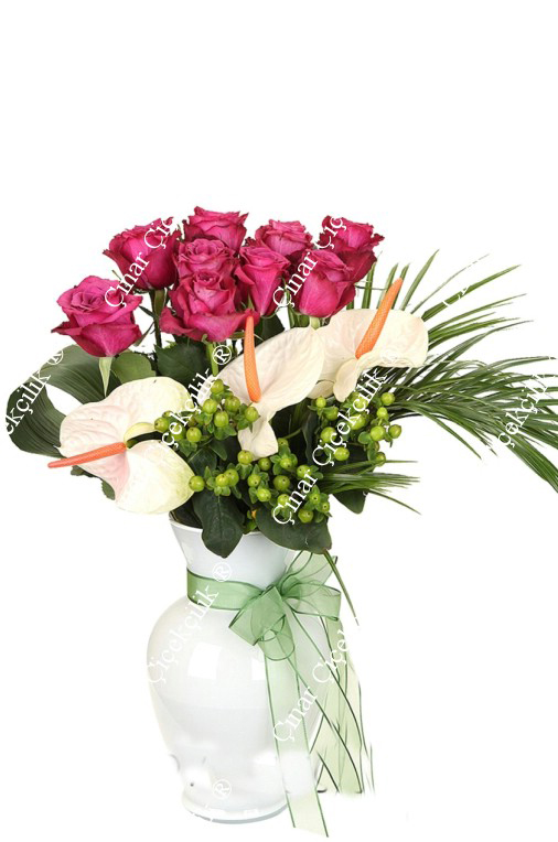 Pembe Rüya Pembe Gül Antorium C-CAM130