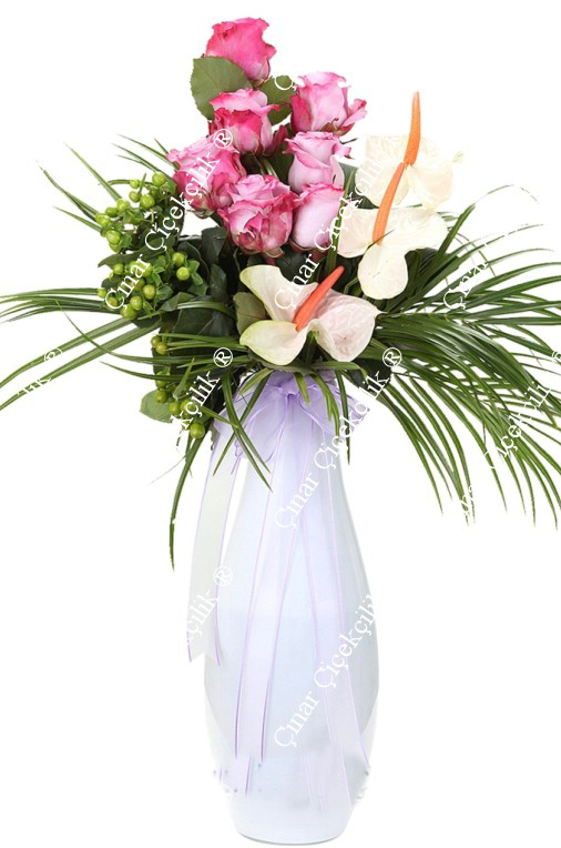 Mutluluk Işıltısı Antorium Beyaz Gül C-SER15