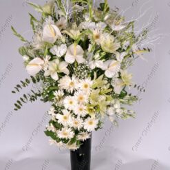 Sultanım Lilyum Gerbera, Gül, Şebboy C-AR147