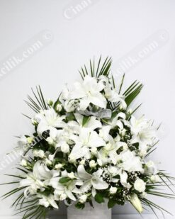 Su Damlası Beyaz Gül Lilyum  C-AR116