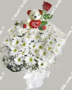 Oyuncaklı Ayı Kır Çiçekleri C-OY126