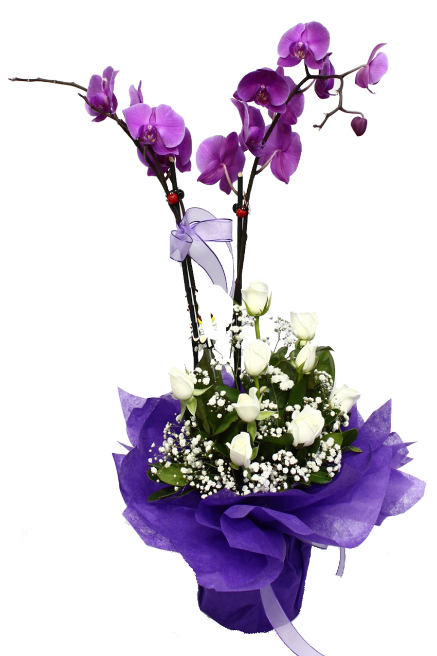 İkili Pembe Orkide Beyaz Gül C-OR132 - Görsel 2