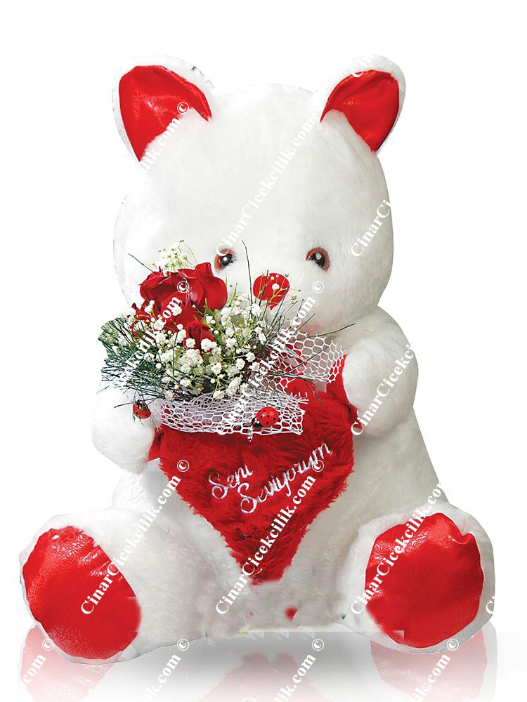 Yüreğimin Neşesi C-OY109