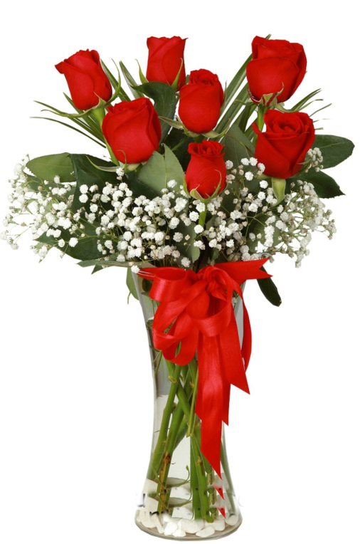 Düşümde Aşk 7 Kırmızı Gül C-CAM122 - Görsel 2