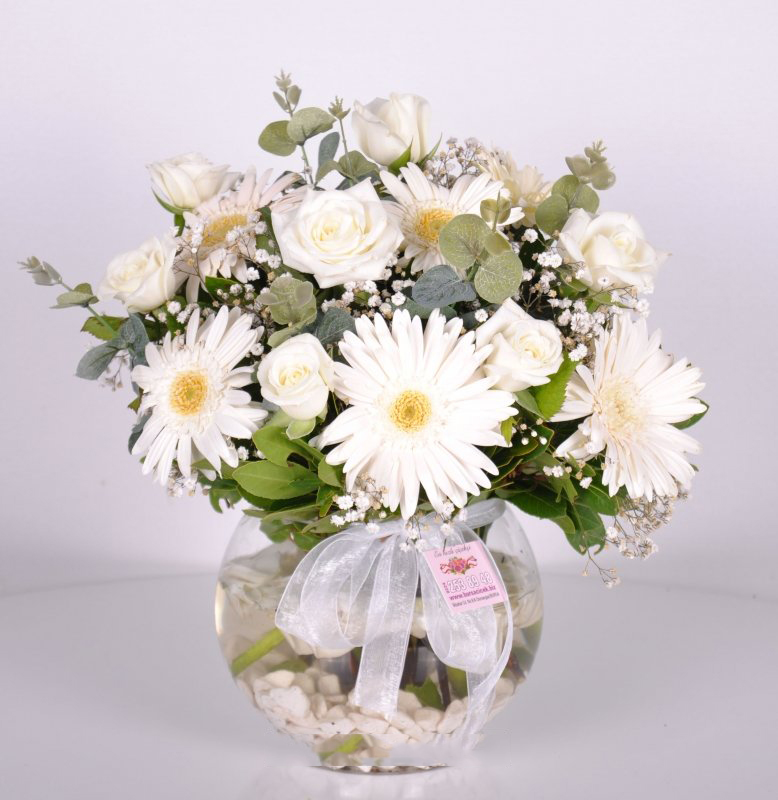 Mutluluk Seli Beyaz Gül Gerbera C-AR140 - Görsel 2