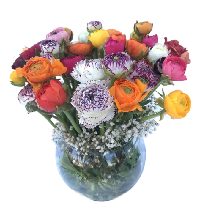 Şakayık ve Mevsim Çiçeklerinin Güzellikleri. - Görsel 3