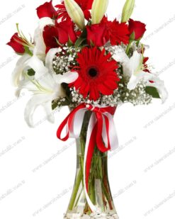 Sanş Kelebeği C-CAM123