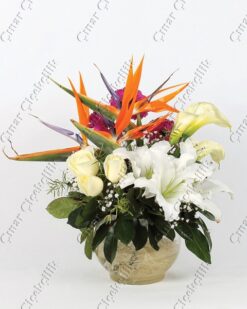 Düş Masalı Fanusta Kokulu Lilyum Starlice C-AR155