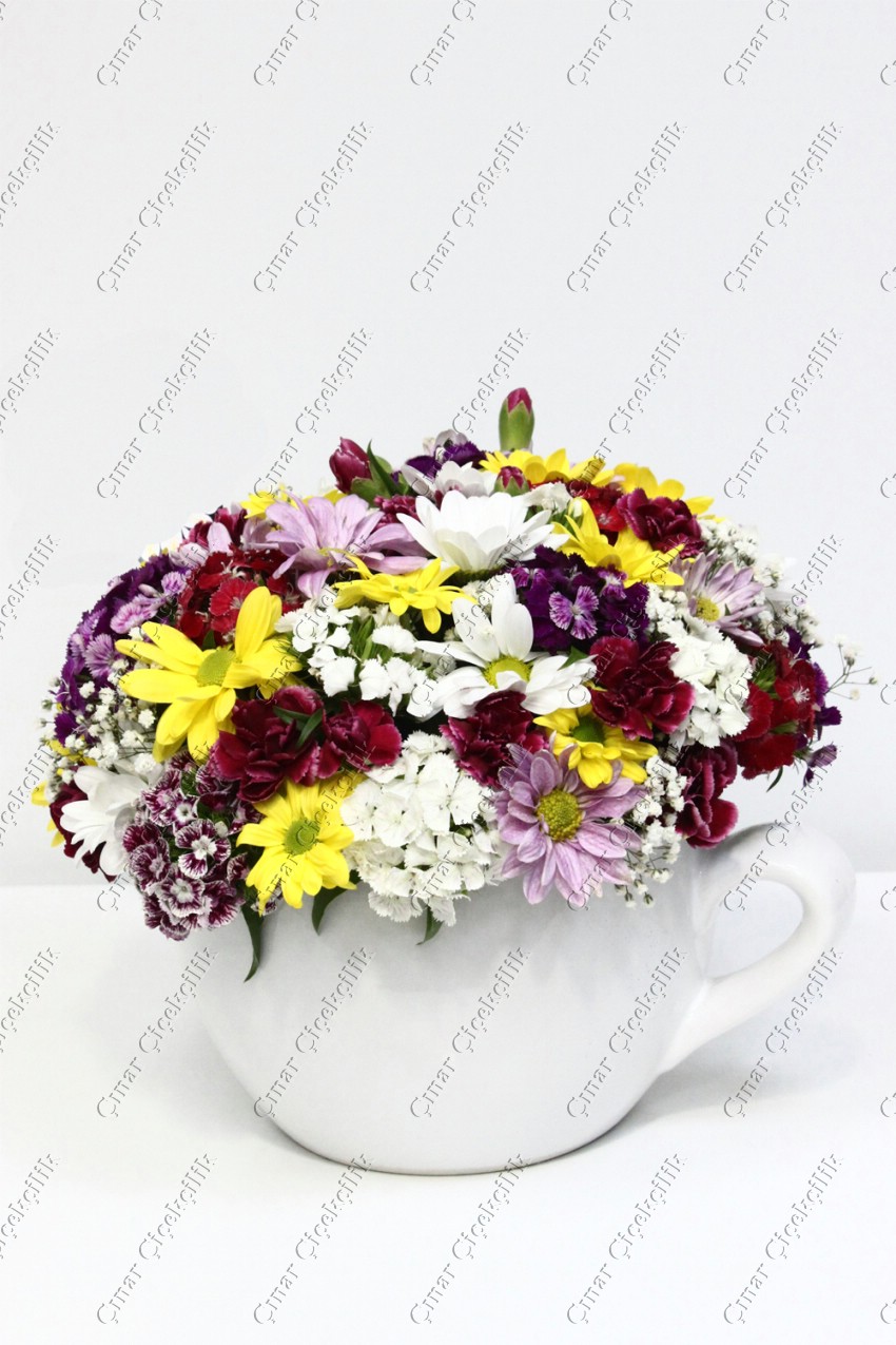 Kraliçem Kir Çiçekleri C-AR146