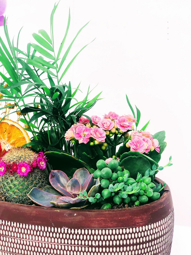 Birds Desenli Vazoda Orkide Teraryum Tasarımı