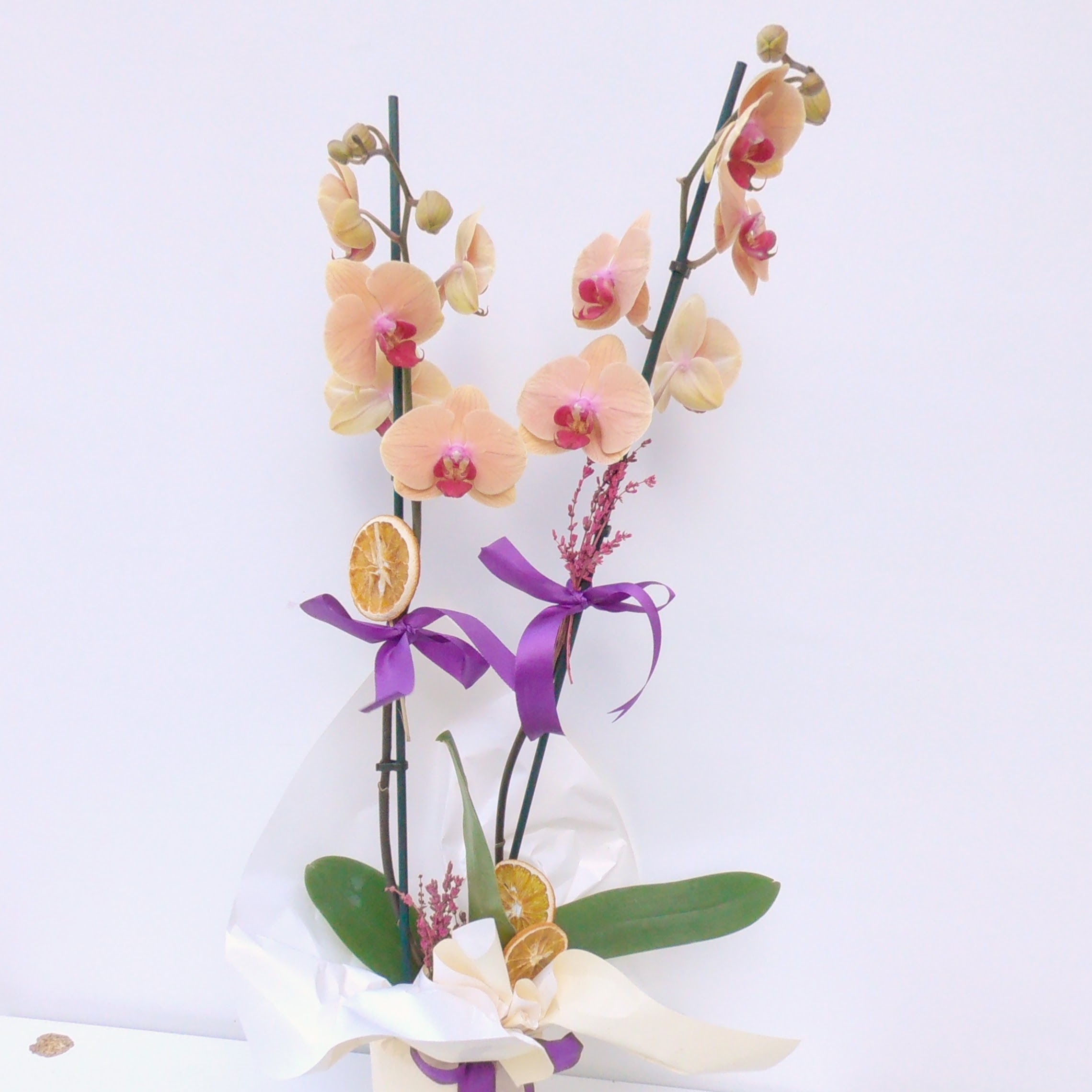Vintage İkili Turuncu Orkide - Görsel 2