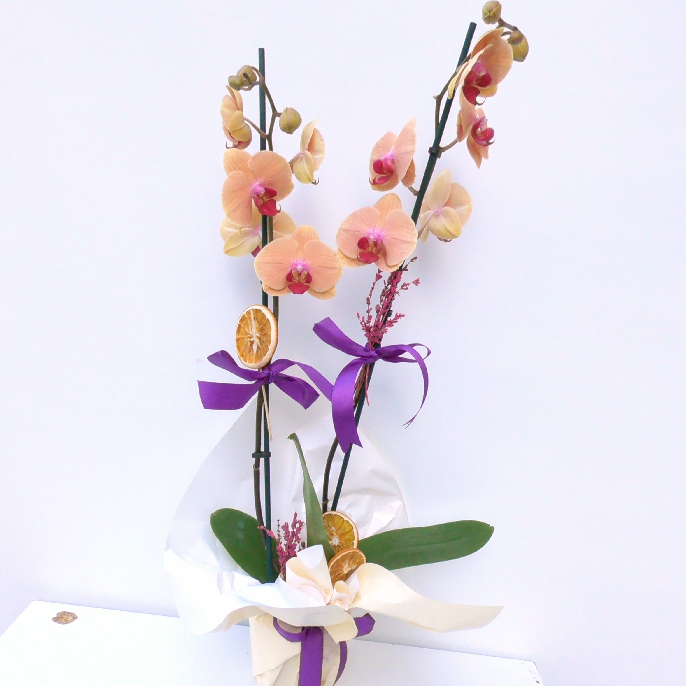 Vintage İkili Turuncu Orkide - Görsel 3