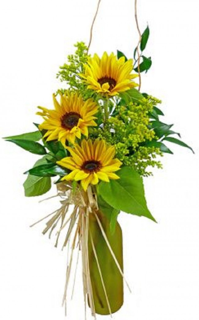 Güne Bakan Çiçeği