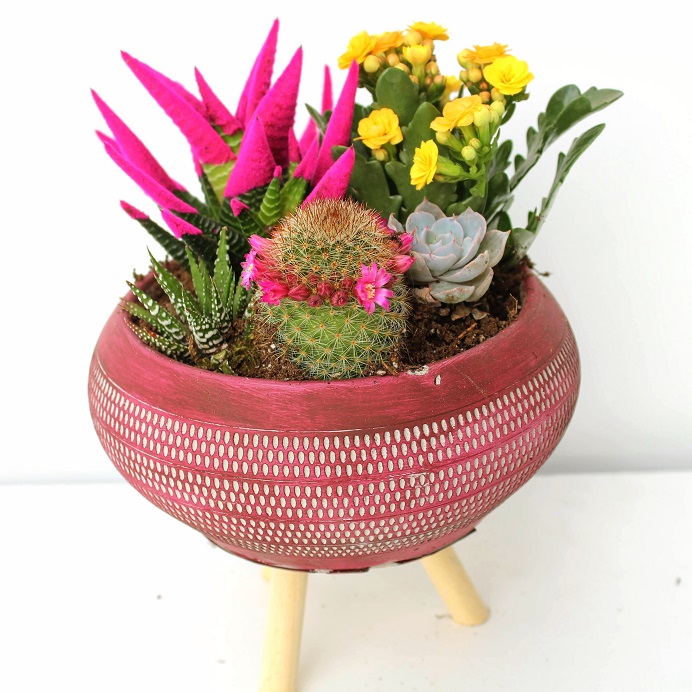 Darlington Dekoratif Ayaklı Vazo Kaktüs ve Kalancuha (Pembe) - Görsel 2