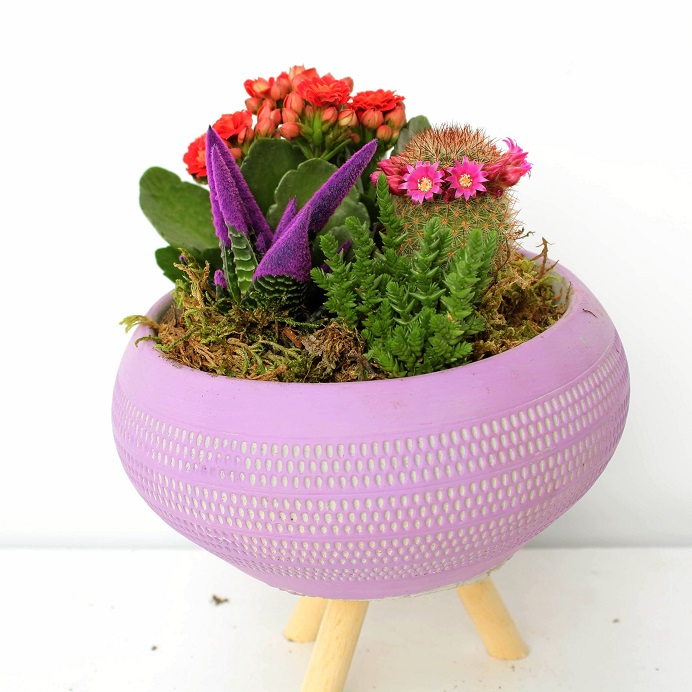 FRENCH Dekoratif Ayaklı Vazo Kaktüs ve Kalancuha - Görsel 2