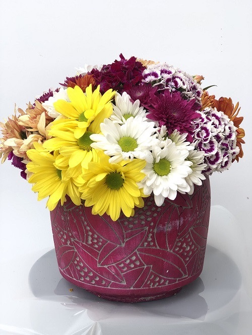 Renkli Rüyam - Görsel 2