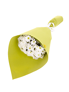 En Güzeli Papatya Kır Çiçeği C-BUK153 - Görsel 4