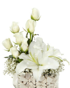 Sonsuza Kadar Beyaz Gül Lilyum C-CAM128