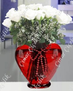 Beyaz Meleğim 21 Beyaz Gül C-KLP125