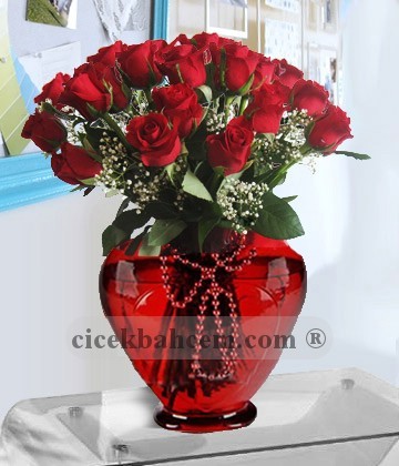 Kallbim Seninle 21 Kırmızı Gül C-KLP104