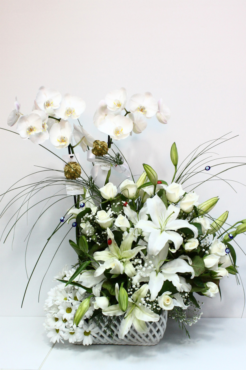 İki Köklü Beyaz Orkide Çiçeği C-OR134 - Görsel 2