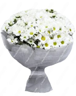 En Güzeli Papatya Kır Çiçeği C-BUK153